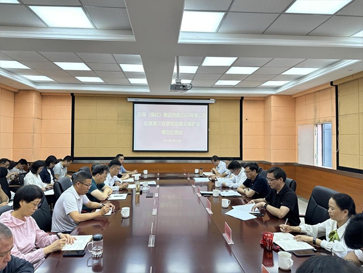 【聚焦云煤】云煤（创世大发）集团党委2023年第二轮巡察第三巡察组向云南云煤矿业开发有限公司反响巡察情形