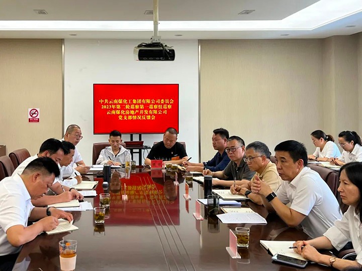 【聚焦云煤】云煤（创世大发）集团党委2023年第二轮巡察第一巡察组向云南创世大发房地产开发有限公司反响巡察情形