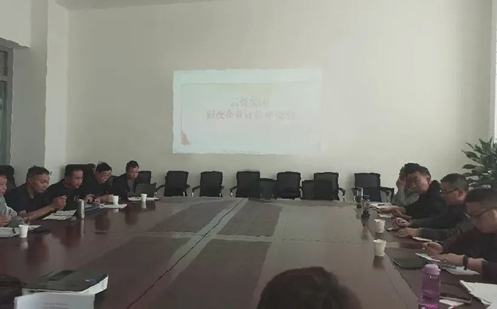 【聚焦云煤】云煤（创世大发）集团召开混淆所有制企业评估座谈会