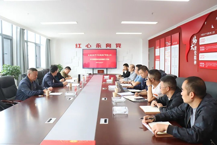 【聚焦云煤】云煤（创世大发）集团第一检查组到罗平东城公司开展党支部规范化达标建设验收事情